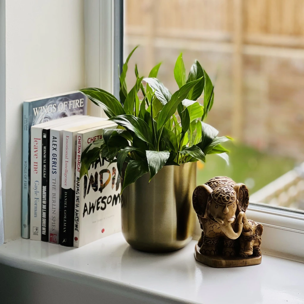 Styled home décor with indoor plant and books by a window in a modern interior in Leeds, UK.